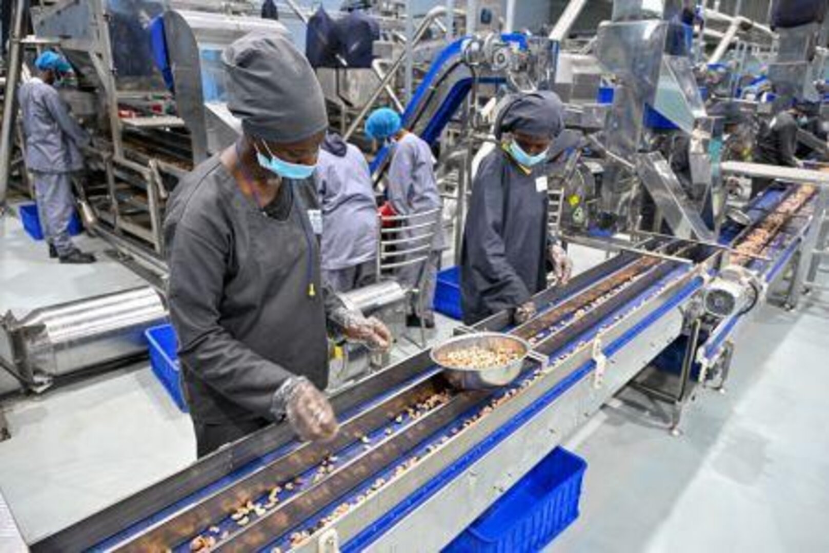 Côte d’Ivoire Launches $27 Million Cashew Processing Plant in Kpouèbo